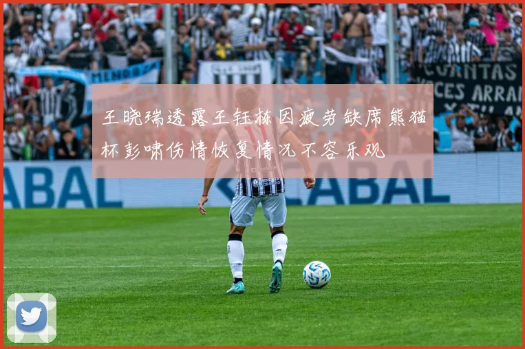 王晓瑞透露王钰栋因疲劳缺席熊猫杯彭啸伤情恢复情况不容乐观