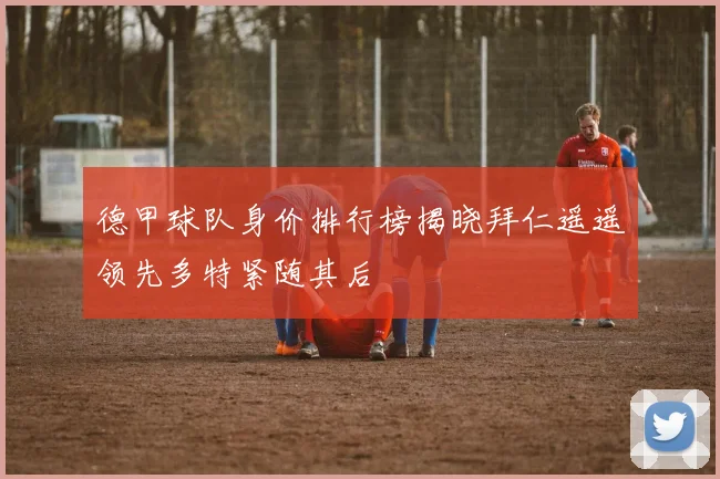 德甲球队身价排行榜揭晓拜仁遥遥领先多特紧随其后